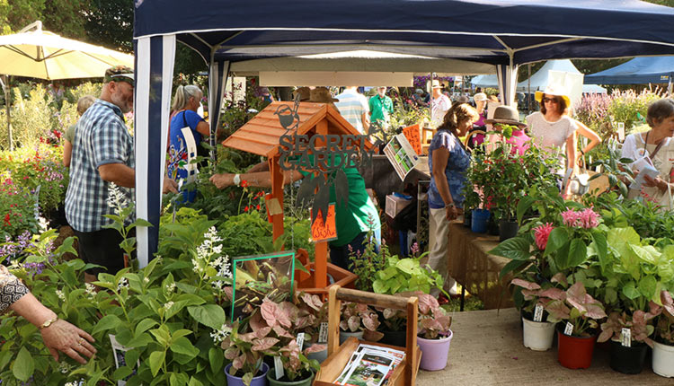 Collectors Plant Fair | Secret Garden & Nursery | Call 0414 784 460