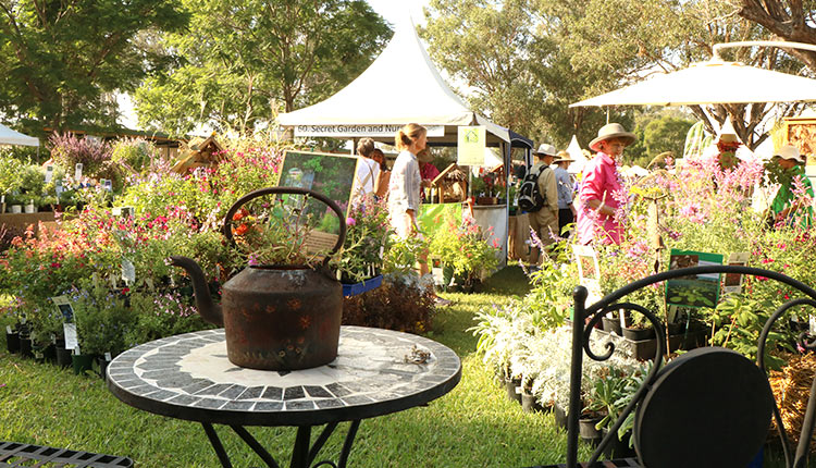 collectors plant fair