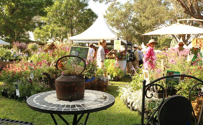 collectors plant fair