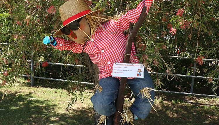 scarecrow festival