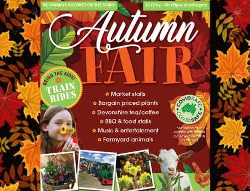 Autumn Fair 2023