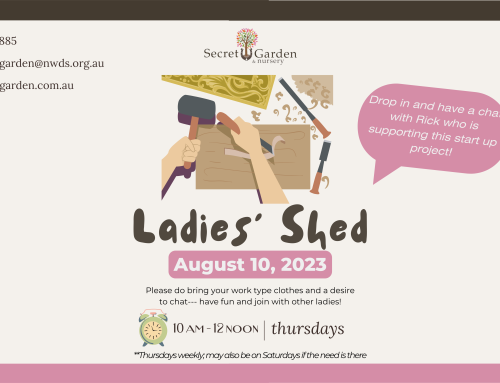 Ladies’ Shed at the Secret Garden Community Hub