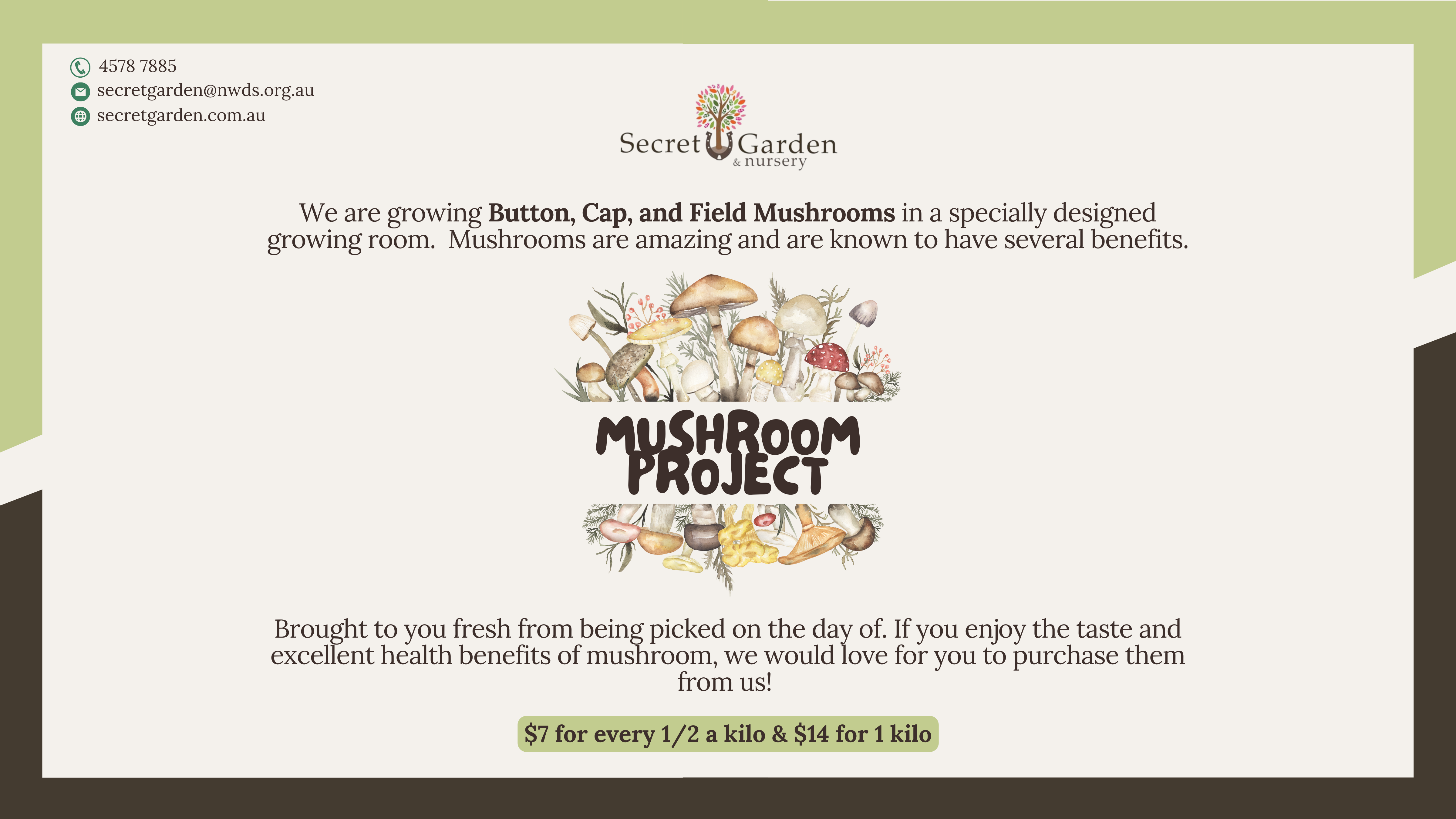 Mushroom Project Flyer