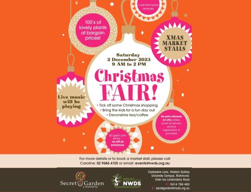 Christmas Fair 2023